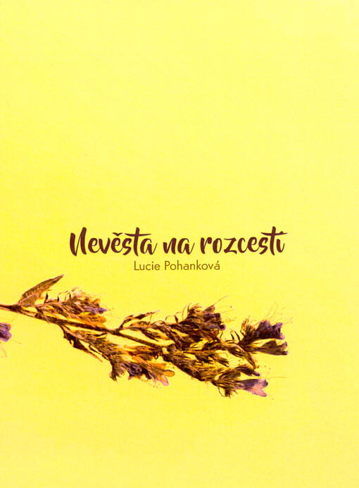 Nevěsta na rozcestí
