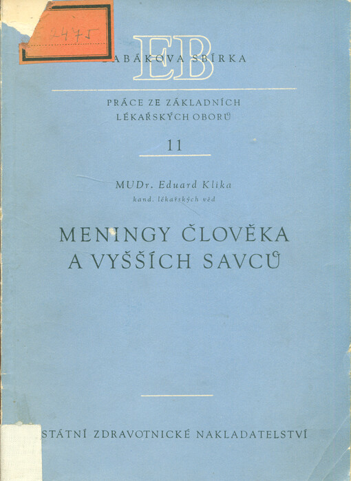 Meningy člověka a vyšších savců