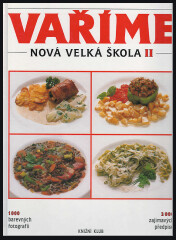 Nová velká škola