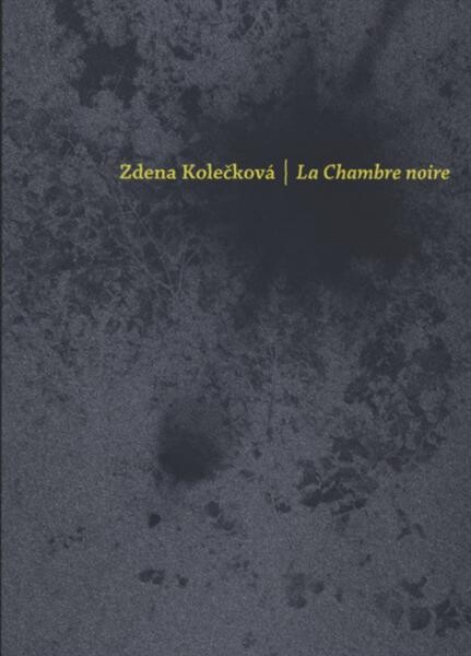 La Chambre noire : [vybrané kapitoly z dějin fotografie a kinematografie (do roku 1918)]