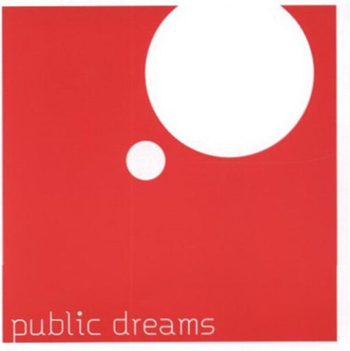 Public dreams :série uměleckých intervencí do veřejných prostorů města Ústí nad Labem, listopad 2005 - říjen 2006