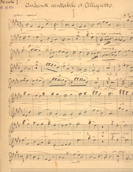 Andante cantabile et Allegretto, op. 3