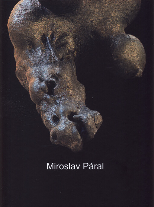 Miroslav Páral : kontexty : international art gallery