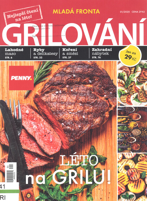 Grilování : léto na grilu!