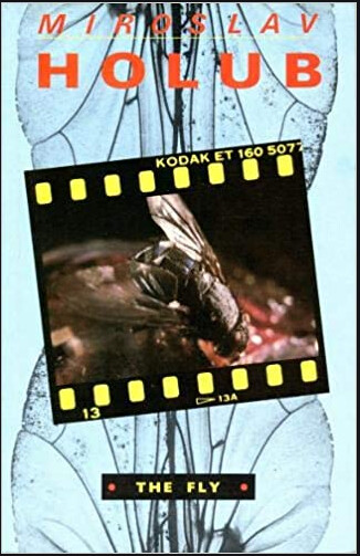 The fly