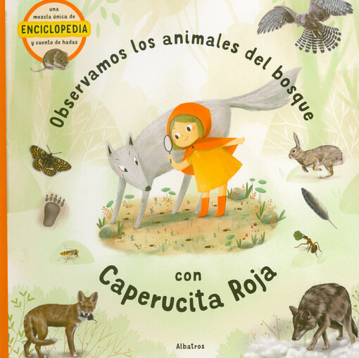 Observamos los animales del bosque con Caperucita Roja