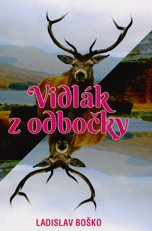 Vidlák z odbočky