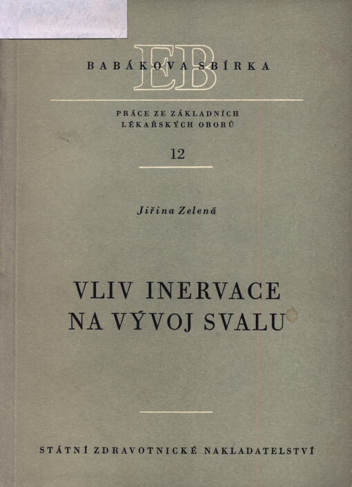 Vliv inervace na vývoj svalu