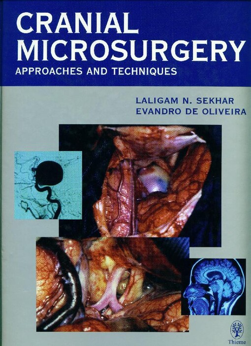 Cranial Microsurgery: Approaches and Techniques