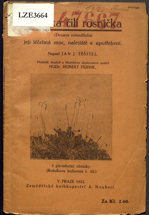 Rosička čili rosnička (Drosera rotundifolia), její léčebná moc, naleziště a upotřebení