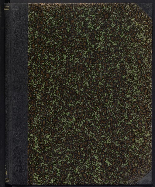 Zahraniční obchod republiky Československé v roce 1921: dovoz a vývoz v celním záznamu a průvoz