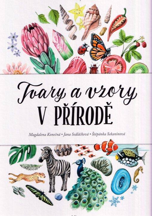 Tvary a vzory v přírodě