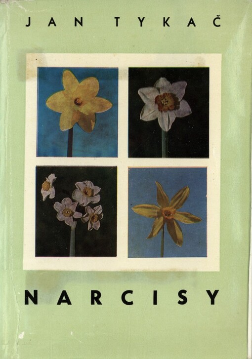 Narcisy