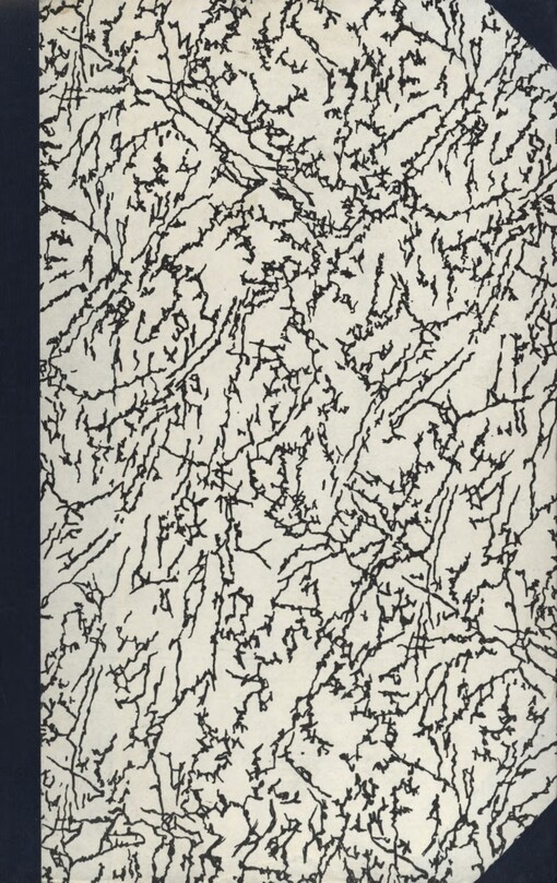 Dva divoši: o dobrodružstvích dvou chlapců, kteří žili jako Indiáni, a o tom, co všechno se naučili