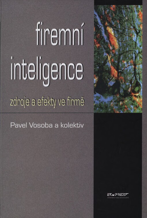 Firemní inteligence: zdroje a efekty ve firmě