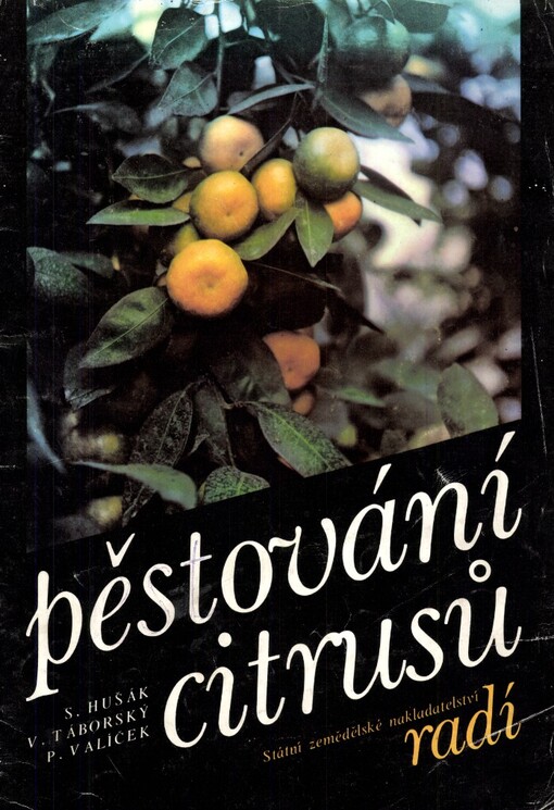 Pěstování citrusů