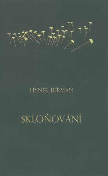 Skloňování