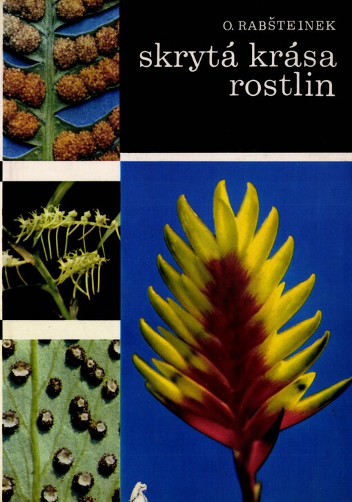 Skrytá krása rostlin