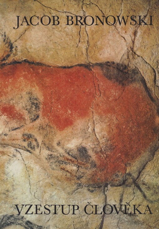 Vzestup člověka