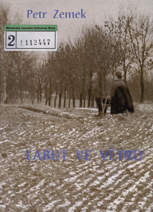 Labuť ve větru: výběr básní z let 1998-2001
