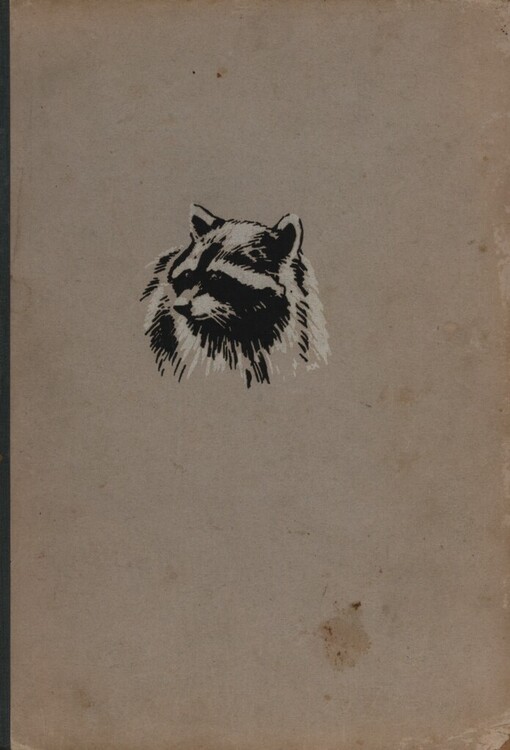 Medvídek Raf a jiné povídky o zvířatech