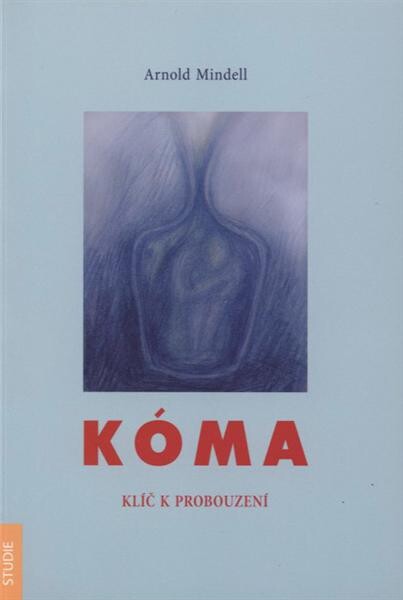 Kóma : klíč k probouzení