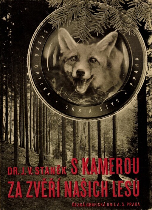 S kamerou za zvěří našich lesů
