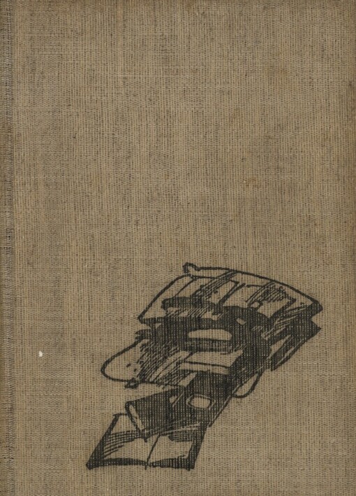 Davídek doma a ve škole