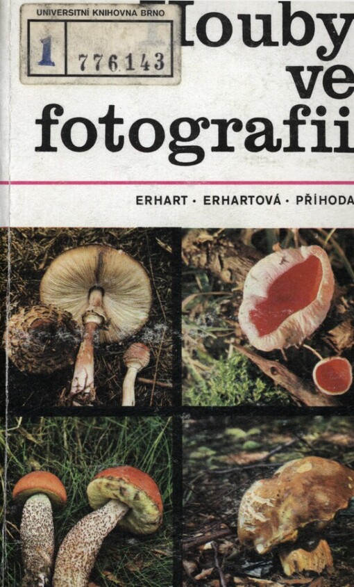 Houby ve fotografii