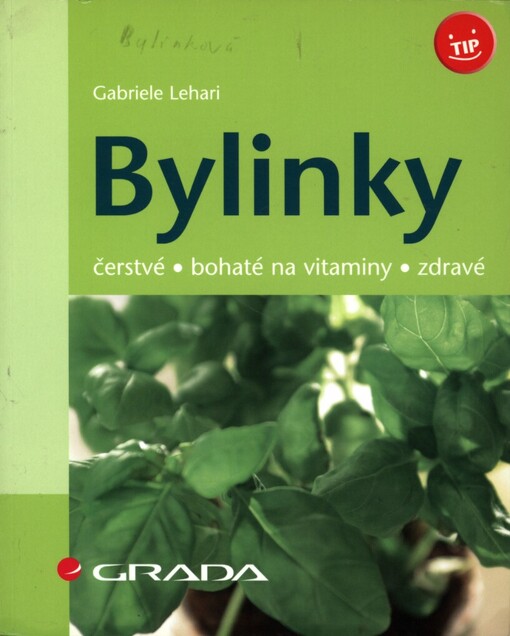Bylinky: čerstvé, bohaté na vitaminy, zdravé