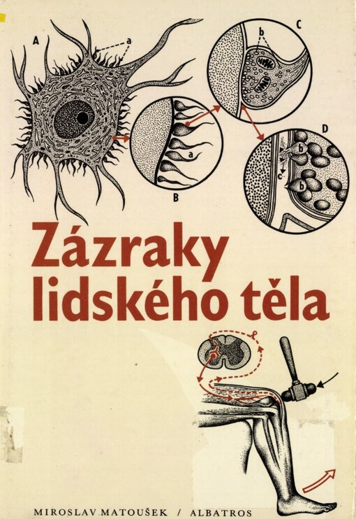 Zázraky lidského těla