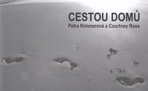Cestou domů