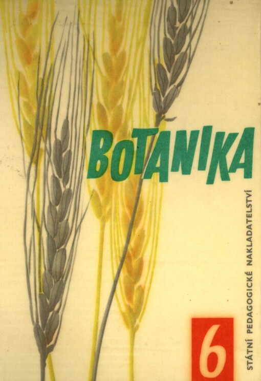 Botanika pro šestý ročník základních devítiletých škol