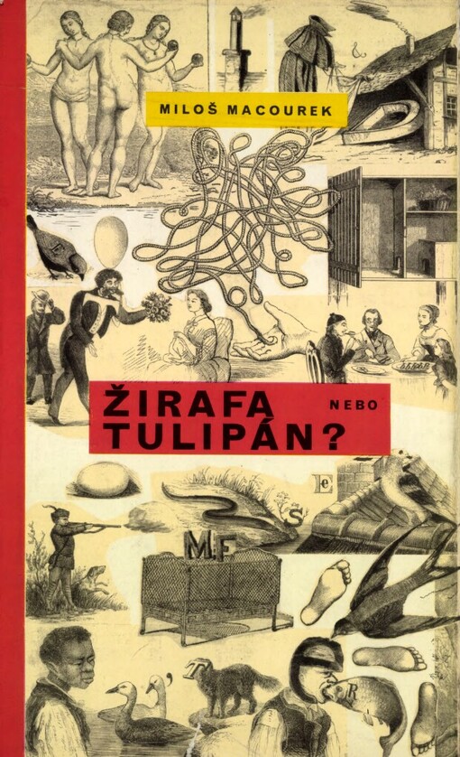Žirafa nebo tulipán?