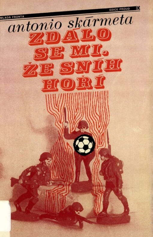 Zdálo se mi, že sníh hoří