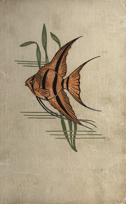 Skleněné domovy: o akvariích a terrariích