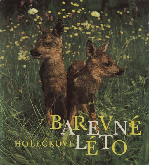 Barevné léto : [fot. publ.