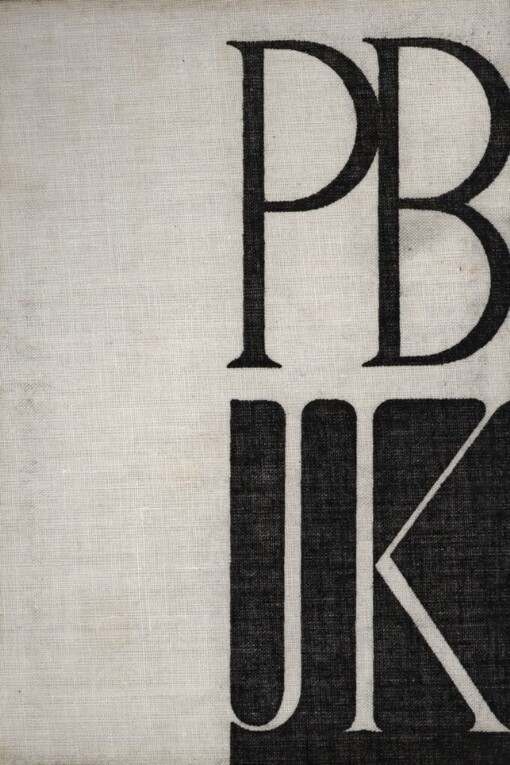 Petr Bezruč píše příteli z mládí: Korespondence s Jaroslavem Kunzem z let 1881-1932