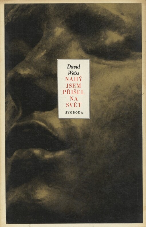 Nahý jsem přišel na svět: román o Augustovi Rodinovi