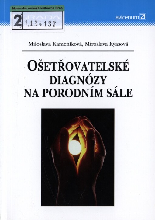 Ošetřovatelské diagnózy na porodním sále