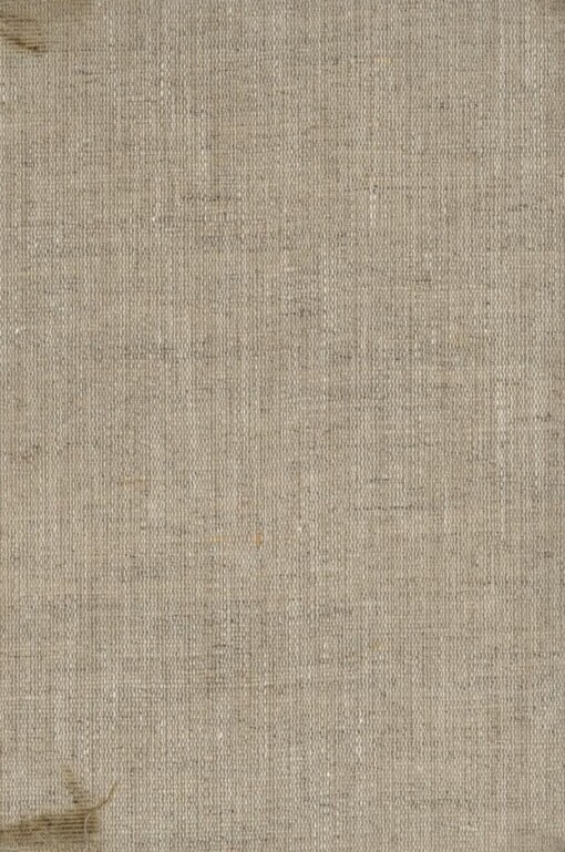 Nový epochální výlet pana Broučka tentokrát do patnáctého století