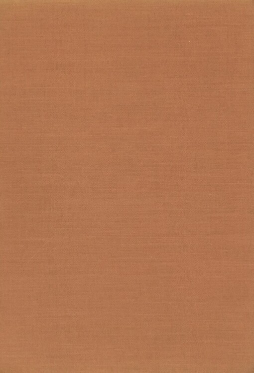 Labutě nad Issyk Kulem