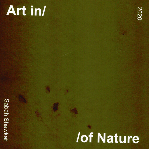 Art in/of nature