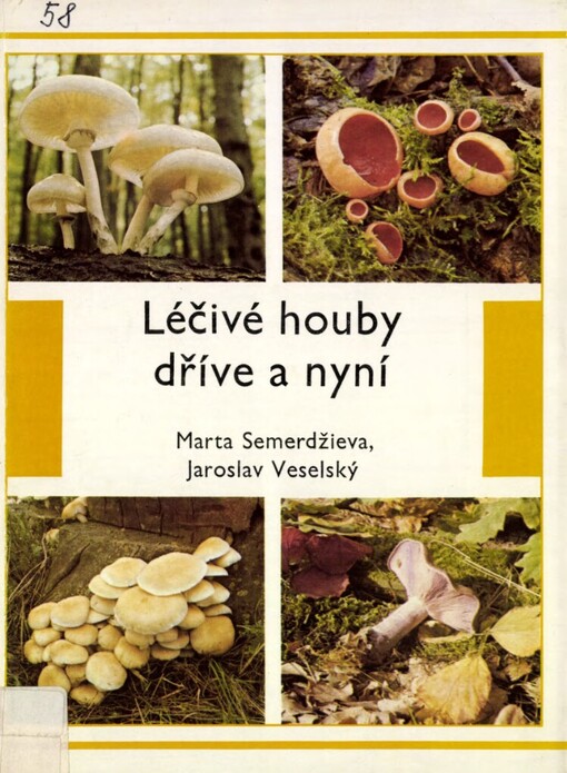 Léčivé houby dříve a nyní