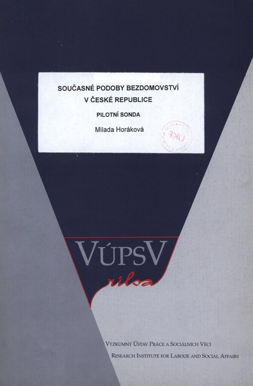 Současné podoby bezdomovství v České republice :pilotní sonda : výzkumná zpráva