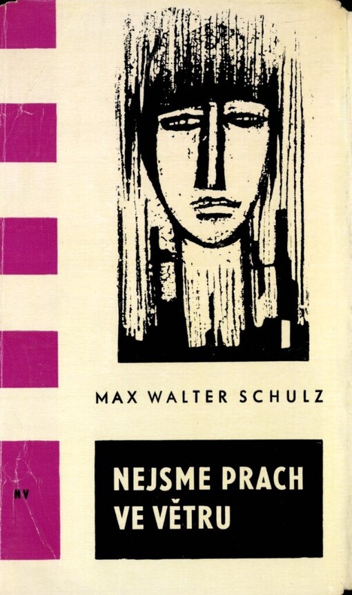 Nejsme prach ve větru :román neztracené generace