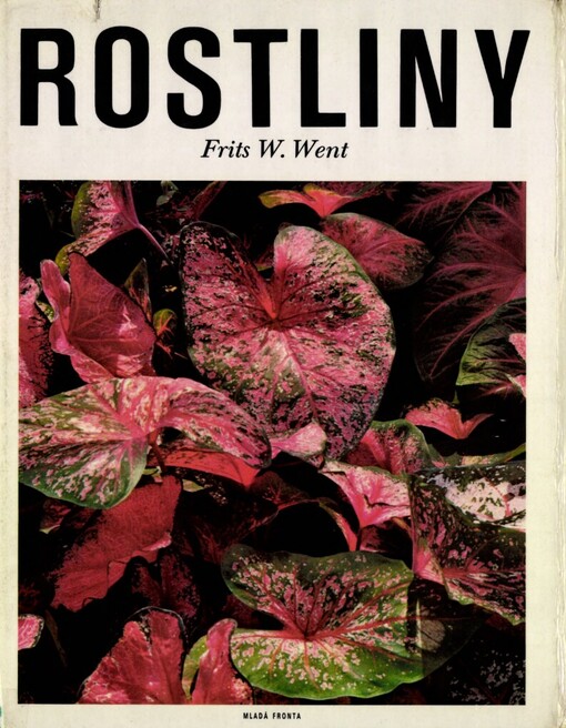 Rostliny