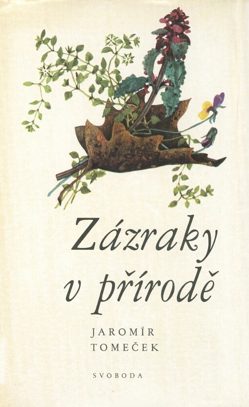 Zázraky v přírodě: setkání s ptáky a rostlinami