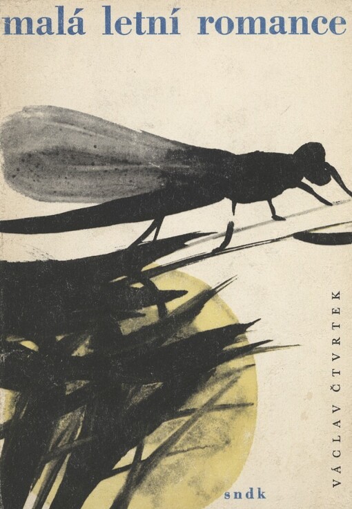 Malá letní romance