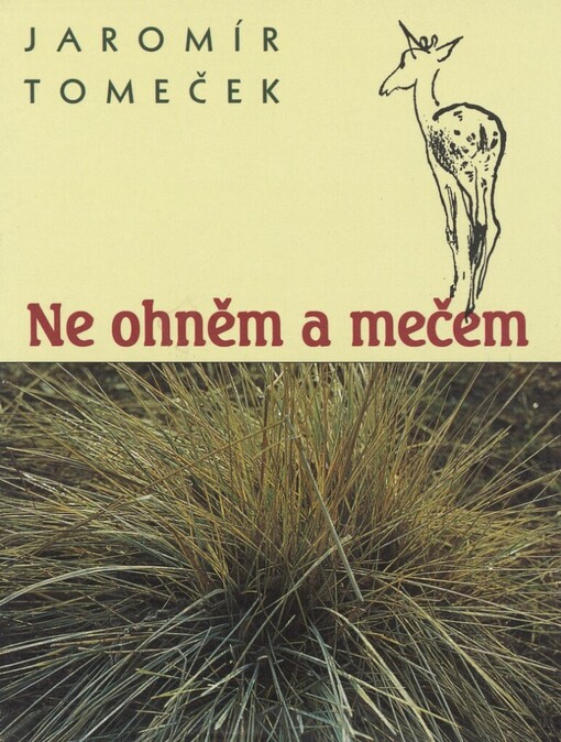 Ne ohněm a mečem